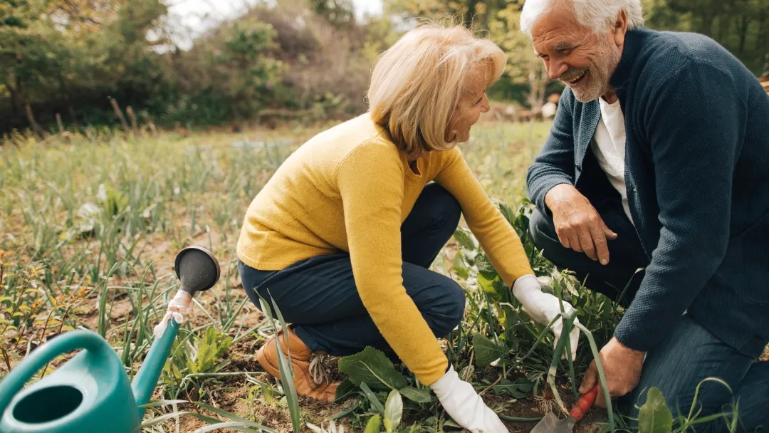 Couple Gardening