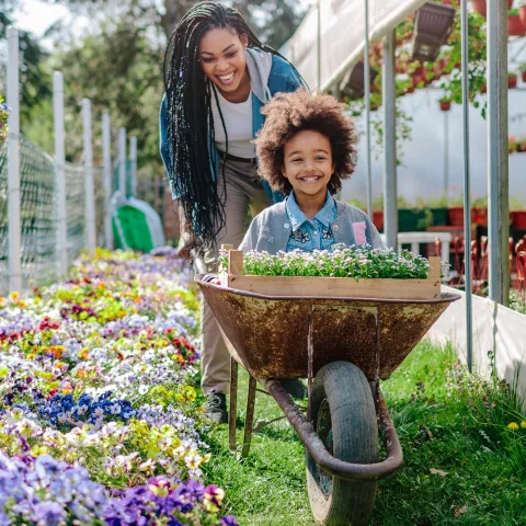 A little girl is pushed in a wheelbarrow by her mom through a garden/green house