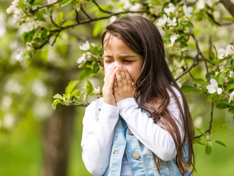 A Young Child Blows Her Nose into a Tissue While Walking Through a Forest.
