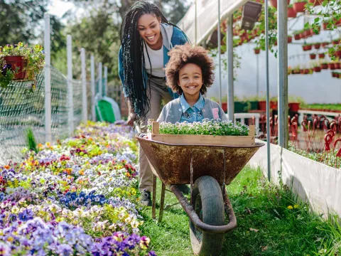 A little girl is pushed in a wheelbarrow by her mom through a garden/green house