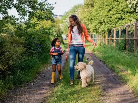 A Mother and Daughter Walk Their Labradoodle on a Country Road.
