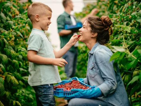 A son feeding his mom a strawberry.